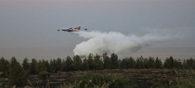 Şanlıurfa’daki orman yangını kontrol altına alındı