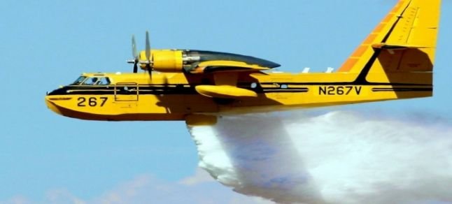 İzmir’de çıkan orman yangını kontrol altına alındı