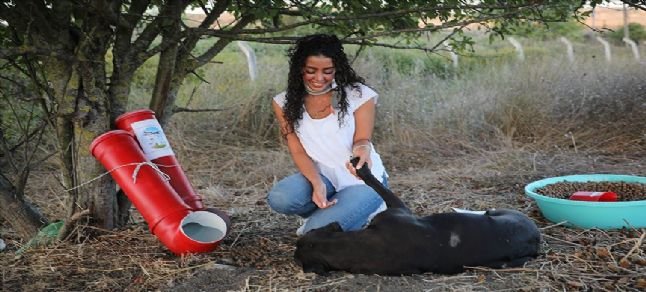 THY kabin memuru sokak hayvanlarını yalnız bırakmadı