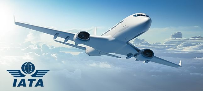 IATA’dan 2021 için uyarı