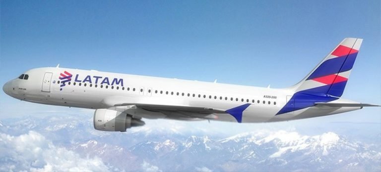 Uçak kalkarken Kapibara’ya çarptı!