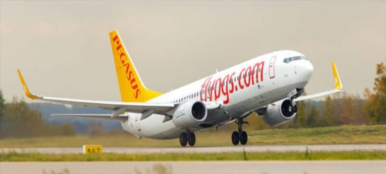 Pegasus Genel Müdürü Mehmet Nane Kısa vadeli döviz ihtiyacımız yok