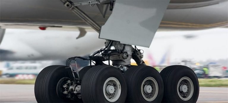 Kaçak yolcu, iniş takımında üç ülkeyi gezdi