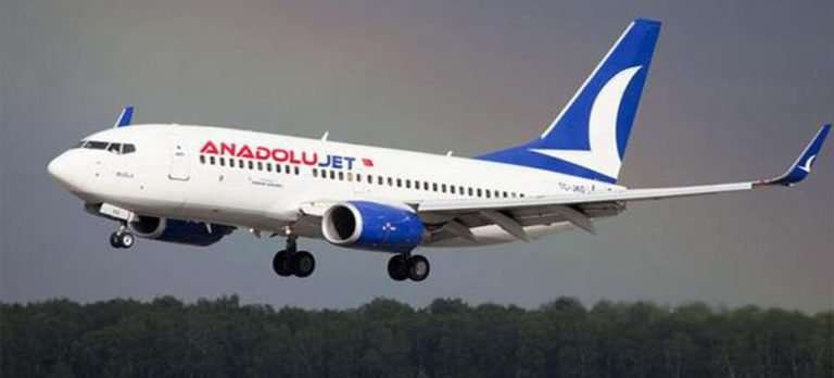 Van’dan İstanbul’a giden uçak zorunlu iniş yaptı