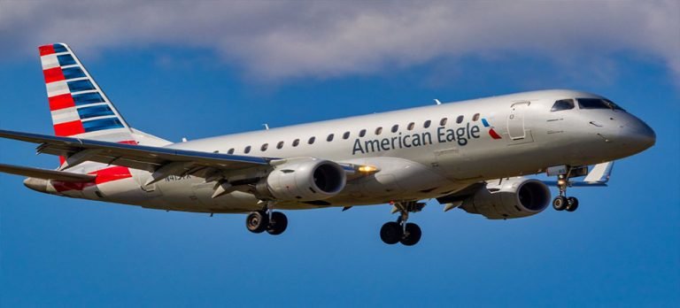 Uçuş 40 dakika ertelenince, pilot yolculara pizza ısmarladı