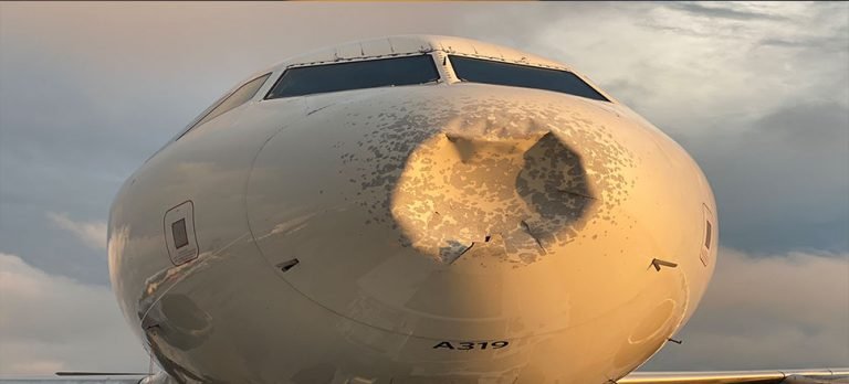 Geçen yıl uçaklara 828 kez kuş çarptı