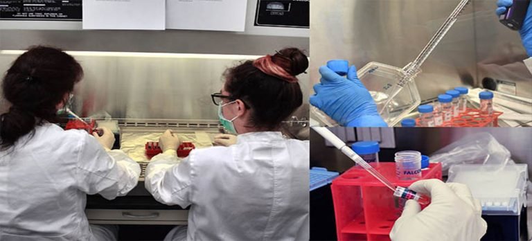 Zürih Üniversitesi ve Airbus, minyatür insan dokusu üretiyor