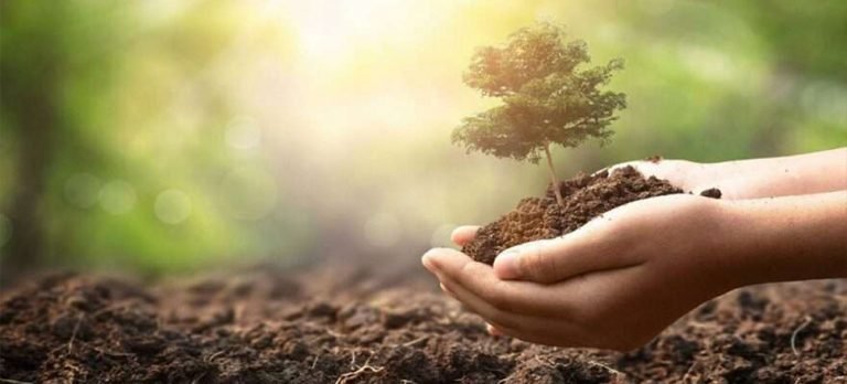 Havacılık camiasından fidan bağışı kampanyasına destek