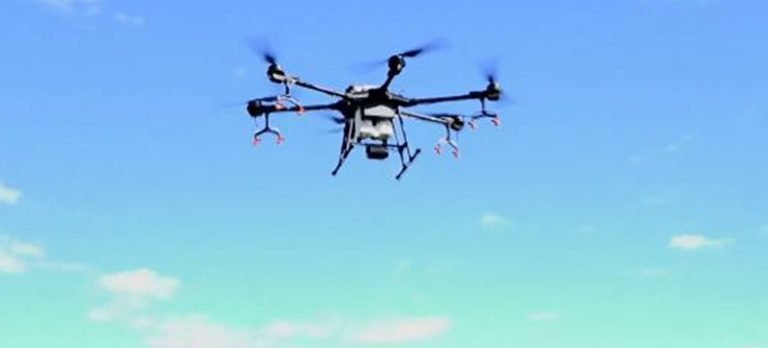 Hastaya nakledilecek organ drone ile taşındı