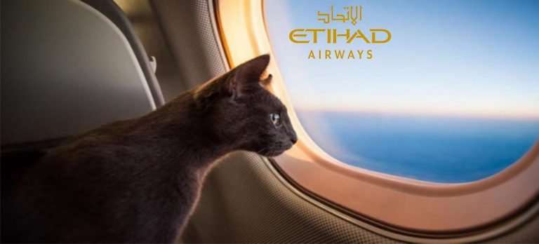 Etihad Havayolları kabinde evcil hayvanlara izin veriyor