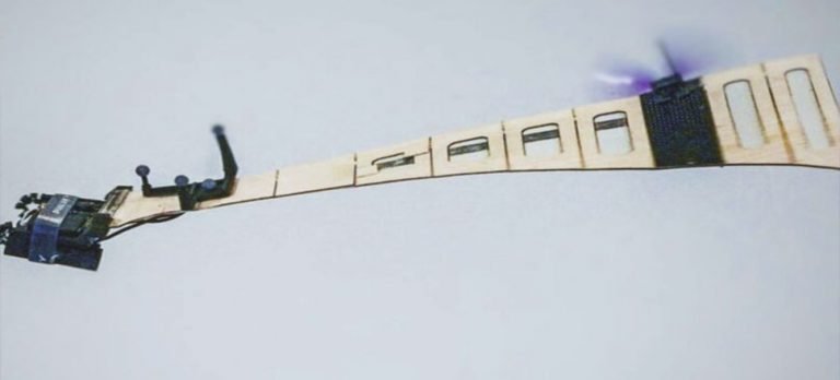 Tohumdan ilham alan ‘monokopter’ İHA: F-SAM