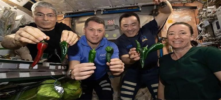 SpaceX’in kapsülünde tuvalet arızası