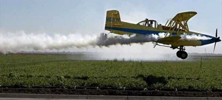 Meksika’da ilaçlama uçakları çarpıştı: 2 ölü