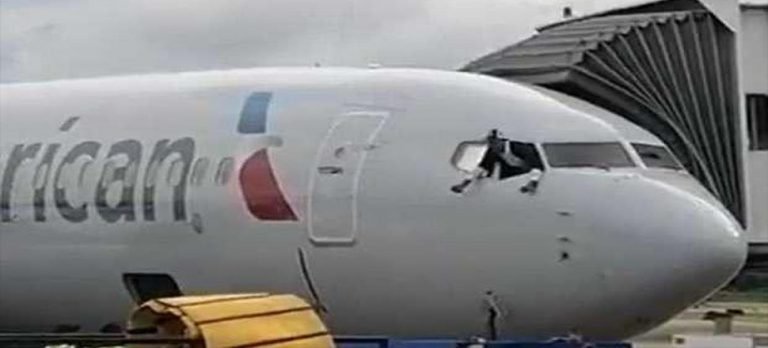 Yolcu kokpiti bastı, uçak camından atlamaya çalıştı