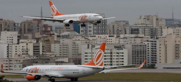 Havayolunun kaybettiği köpek 1.5 ay sonra havalimanında bulundu