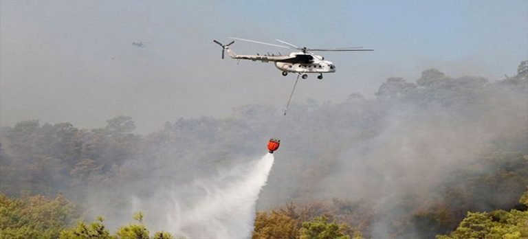 Orman yangınlarına müdahale için Havacılık Dairesi Başkanlığı kuruldu