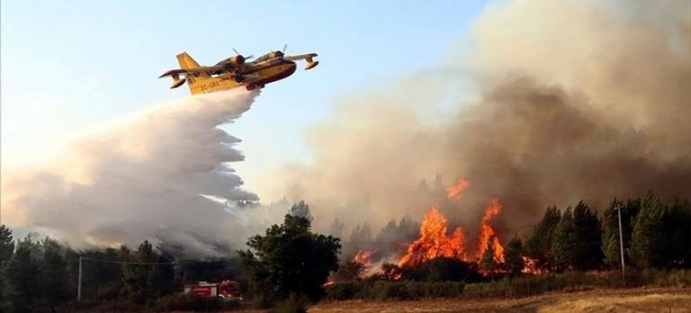 Yunanistan orman yangınlarına hazırlanıyor Havadan müdahale filosundaki araç sayısı 93’e çıkacak