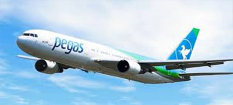 Pegas yurt dışı satışlarını o tarihe kadar askıya aldı