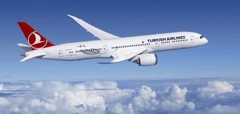 THY, 4 ülkeye uçuşlarını durdurma kararını uzattı