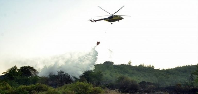 İzmir’de orman yangını: 2 uçak ve 2 helikopter havalandı