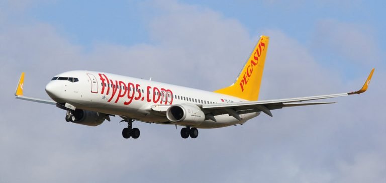 Havayolu devi 4 Boeing uçağını satıyor