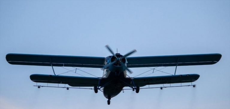 Brezilya’da yarım ton kokain taşıyan uçak yakalandı