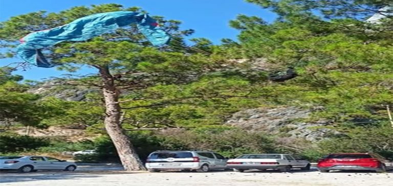 Fethiye’de yamaç paraşütü pilotu ağaçta asılı kaldı