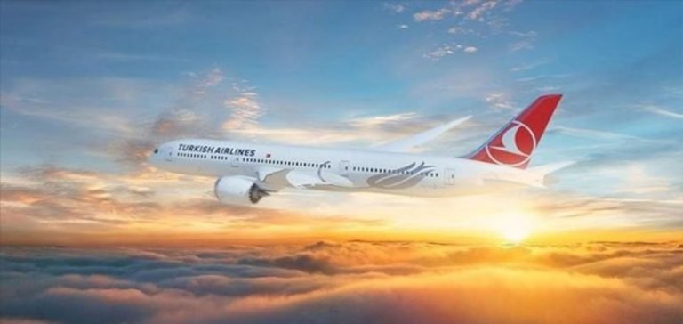 THY, bazı yurt dışı uçuşlarını durdurma kararını 30 Eylül’e kadar uzattı