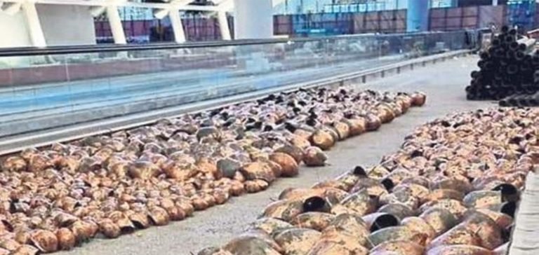 Manisa’nın çanları İstanbul Havalimanı’nda