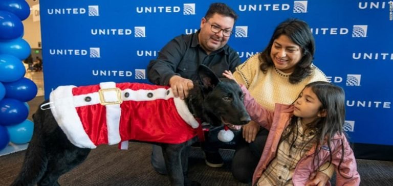 Havaalanında terk edilen köpeği pilot sahiplendi