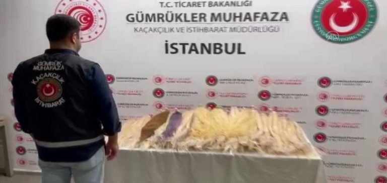 İstanbul Sabiha Gökçen Havalimanı’nda 4 valiz kaçak insan saçı ele geçirildi