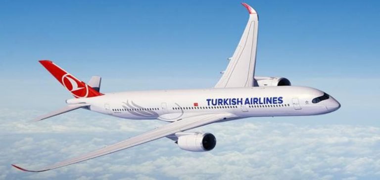 THY, Berlin’e yapacağı bazı seferleri grev nedeniyle iptal etti