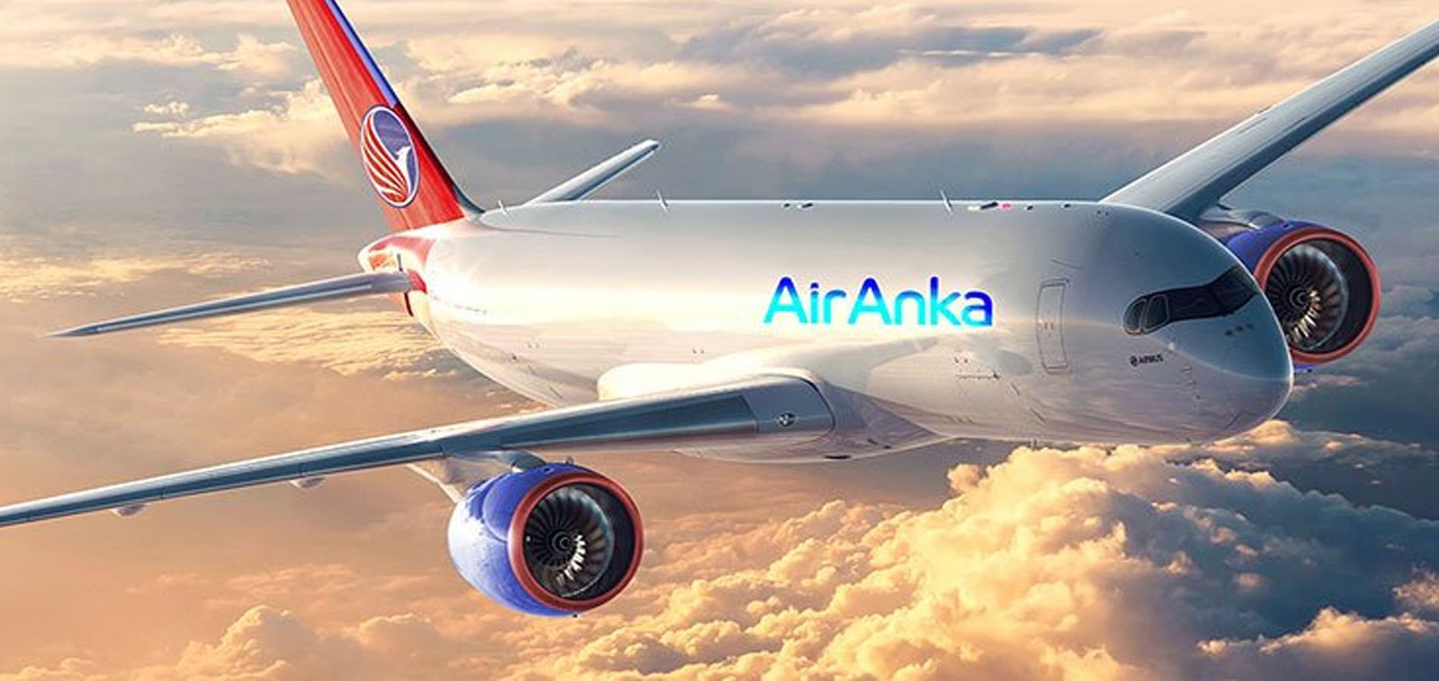 Air Anka Online Check-in Ab Wann www.airnewstimes.com