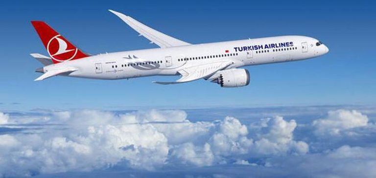 Yurt dışı oyları THY’den kiralanacak olan uçaklarla getirilecek