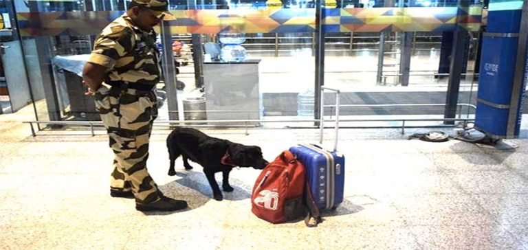 Uçağı kaçırınca bomba ihbarı yaptı