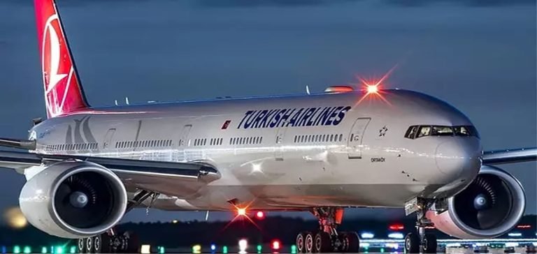THY Uçağı, kötü kokulu meyve yüzünden Acil İniş Yaptı