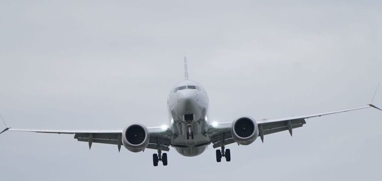 Kaz sürüsüne çarpan uçak acil iniş yaptı