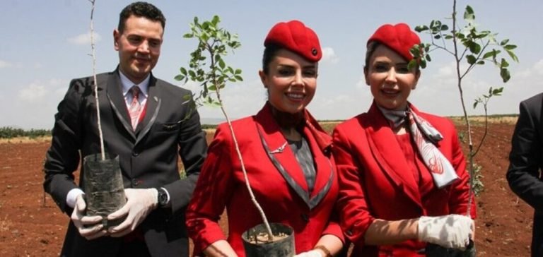 THY ile ÇEKUD işbirliğinde Kilis’e 14 bin Antep fıstığı fidanı dikildi