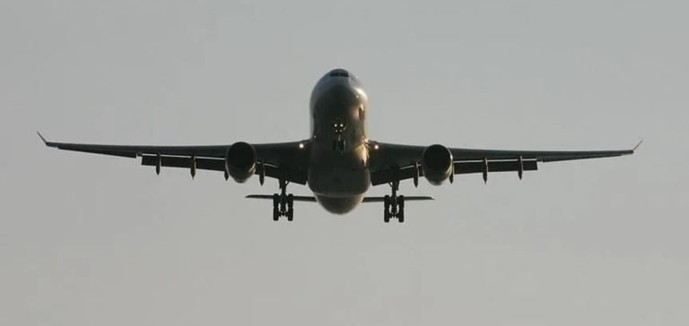 Hindistan’da uçakta yolcuyu akrep soktu