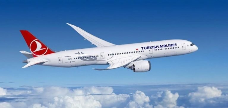 THY elektronik para ve ödeme kuruluşu kuracak