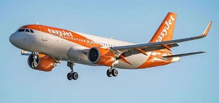 Uçak Ağırlık Nedeniyle Kalkamadı, Pilot 19 Kişiyi İndirdi