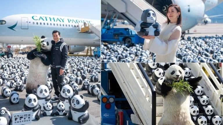 Hong Kong, 2.500 Panda Heykeliyle Turizmi Canlandırmayı Hedefliyor