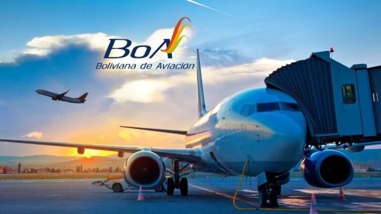 Ulusal Havayolu Boliviana de Aviación’ın Özelleştirme Girişimi Reddedildi