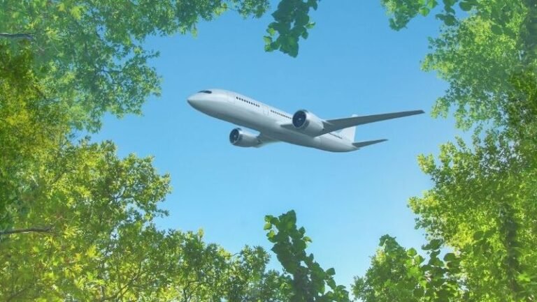 Dünyanın En Temiz 8 Havayolu Açıklandı: Listede Türk Hava Yolları da Var