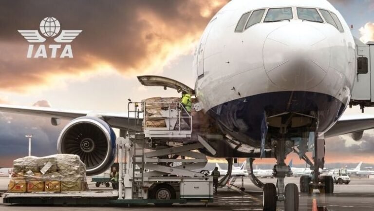 IATA Haziran Verileri: Yolcu Büyümesi Yavaşladı, Kargo Talebi Yükselişte