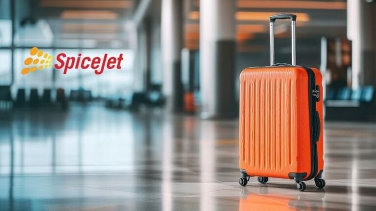 SpiceJet Çalışanına Saldırı: Bagaj Ücreti Tartışması Kavgaya Dönüştü